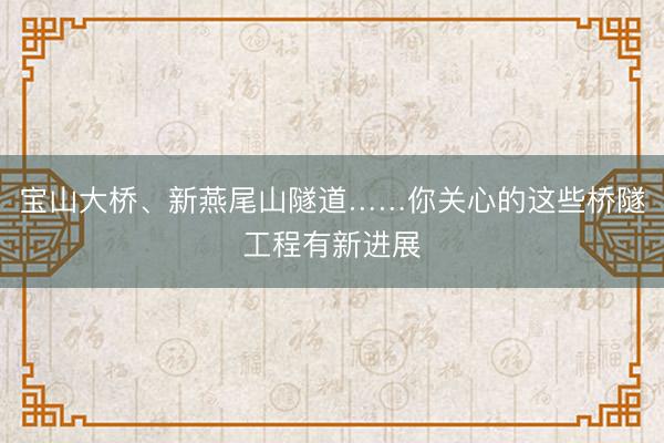 宝山大桥、新燕尾山隧道……你关心的这些桥隧工程有新进展