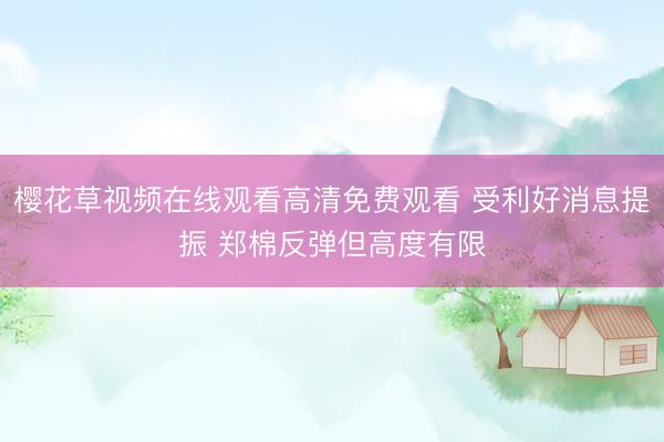 樱花草视频在线观看高清免费观看 受利好消息提振 郑棉反弹但高度有限