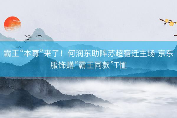 霸王“本尊”来了！何润东助阵苏超宿迁主场 京东服饰赠“霸王同款”T恤