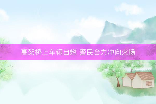 高架桥上车辆自燃 警民合力冲向火场