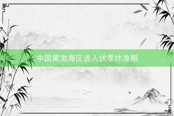 中国黄渤海区进入伏季休渔期