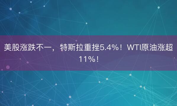 美股涨跌不一，特斯拉重挫5.4%！WTI原油涨超11%！