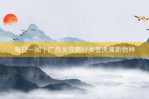 每日一闻丨广西发现爬行类壁虎属新物种