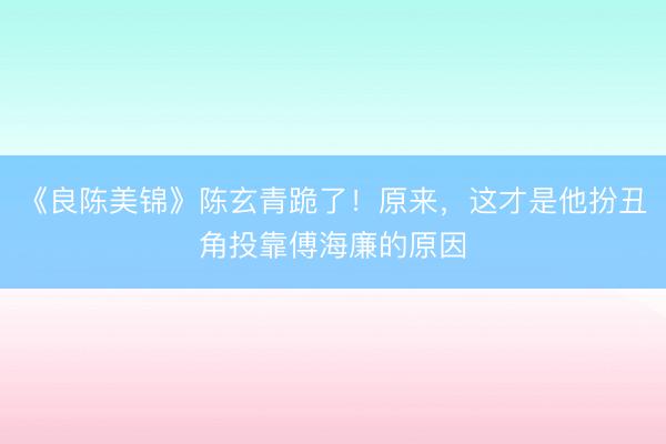 《良陈美锦》陈玄青跪了！原来，这才是他扮丑角投靠傅海廉的原因