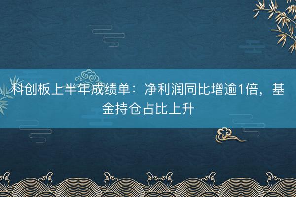 科创板上半年成绩单：净利润同比增逾1倍，基金持仓占比上升
