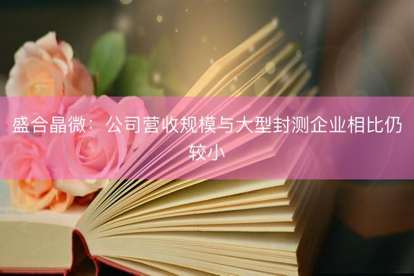 盛合晶微:公司营收规模与大型封测企业相比仍较小