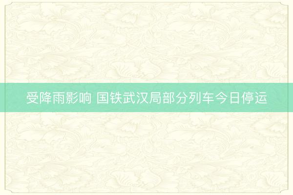 受降雨影响 国铁武汉局部分列车今日停运