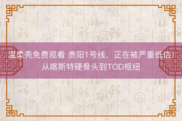 温柔壳免费观看 贵阳1号线，正在被严重低估！从喀斯特硬骨头到TOD枢纽