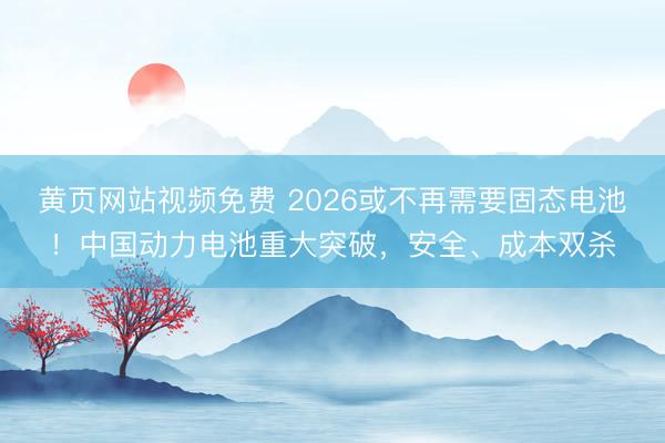 黄页网站视频免费 2026或不再需要固态电池！中国动力电池重大突破，安全、成本双杀