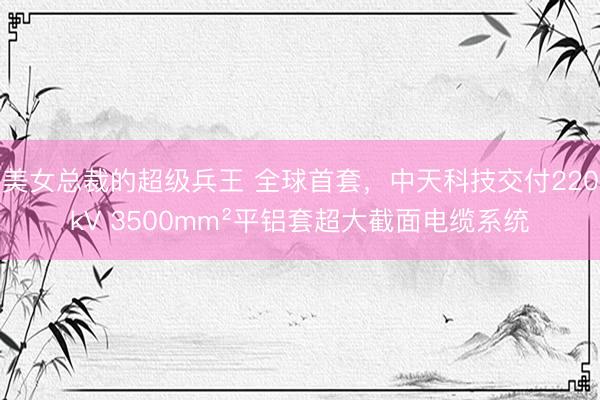 美女总裁的超级兵王 全球首套，中天科技交付220kV 3500mm²平铝套超大截面电缆系统