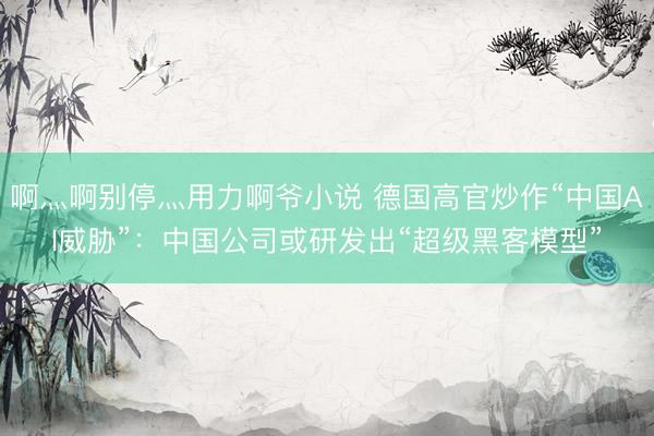 啊灬啊别停灬用力啊爷小说 德国高官炒作“中国AI威胁”：中国公司或研发出“超级黑客模型”