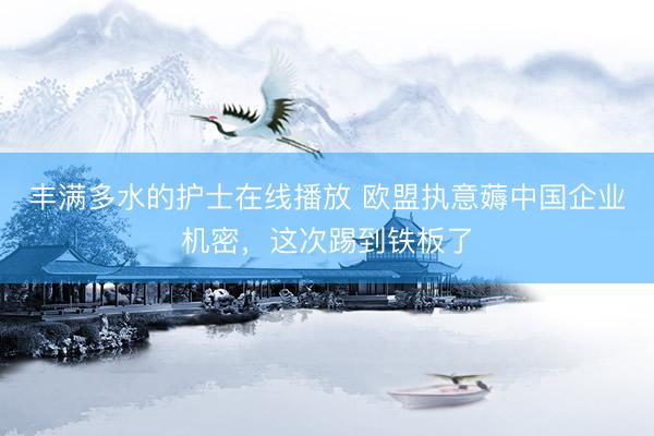 丰满多水的护士在线播放 欧盟执意薅中国企业机密，这次踢到铁板了