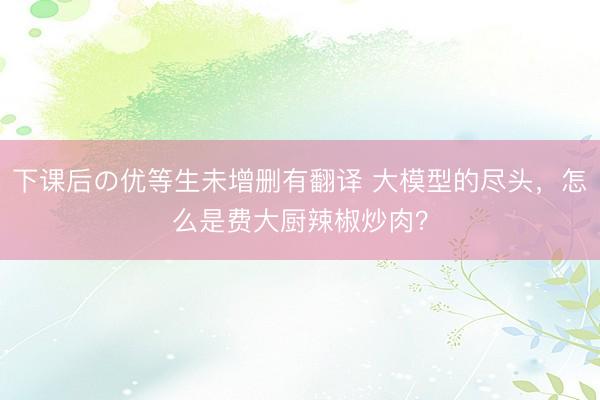下课后の优等生未增删有翻译 大模型的尽头，怎么是费大厨辣椒炒肉？