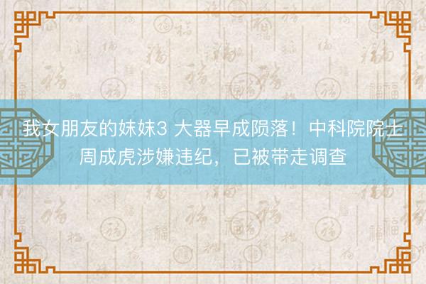 我女朋友的妺妺3 大器早成陨落！中科院院士周成虎涉嫌违纪，已被带走调查