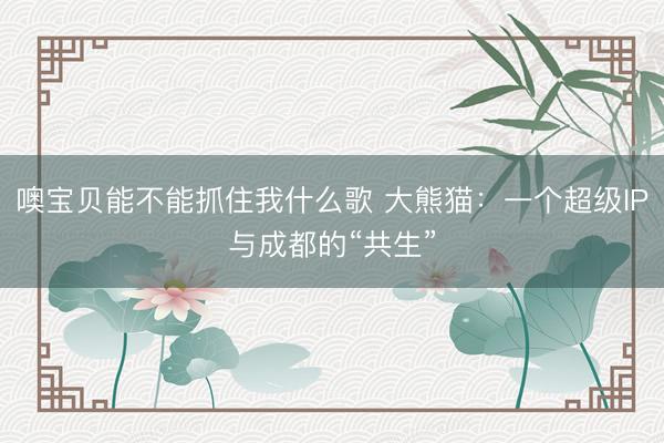噢宝贝能不能抓住我什么歌 大熊猫：一个超级IP与成都的“共生”
