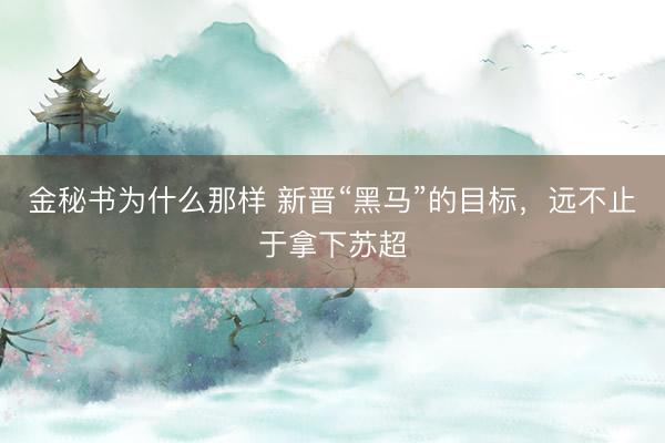 金秘书为什么那样 新晋“黑马”的目标，远不止于拿下苏超