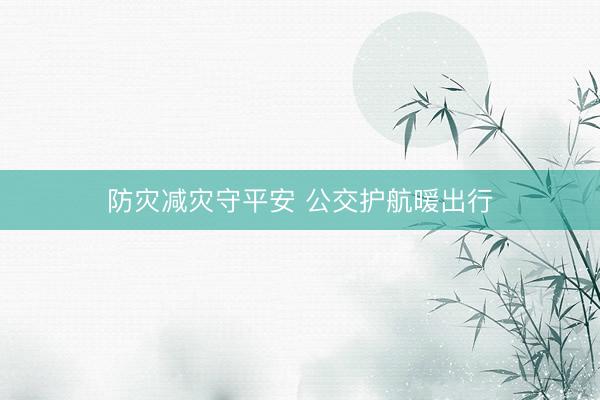 防灾减灾守平安 公交护航暖出行