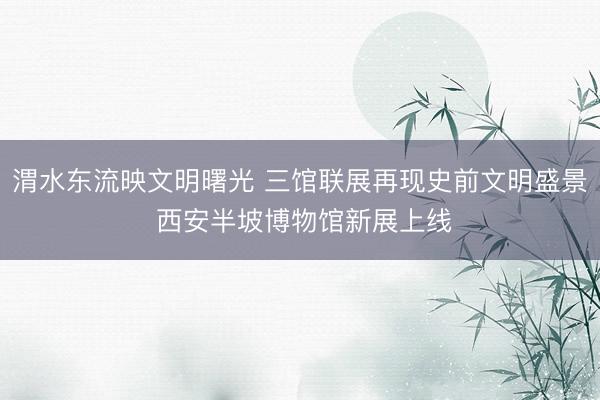 渭水东流映文明曙光 三馆联展再现史前文明盛景 西安半坡博物馆新展上线