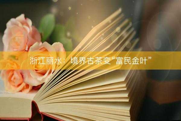 浙江丽水：境界古茶变“富民金叶”