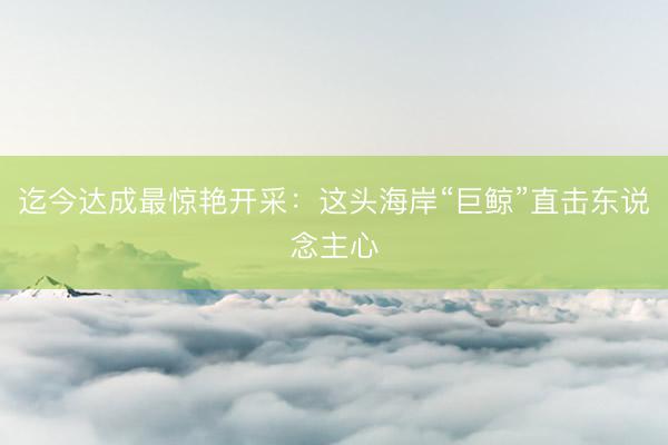迄今达成最惊艳开采：这头海岸“巨鲸”直击东说念主心