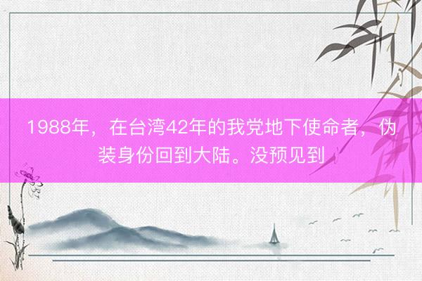 1988年，在台湾42年的我党地下使命者，伪装身份回到大陆。没预见到