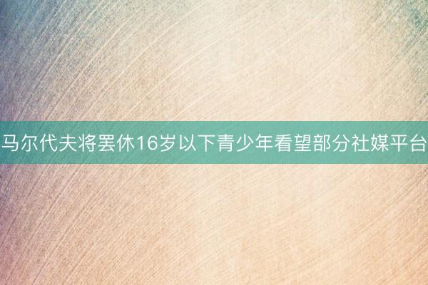 马尔代夫将罢休16岁以下青少年看望部分社媒平台