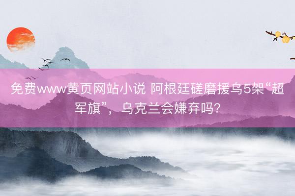免费www黄页网站小说 阿根廷磋磨援乌5架“超军旗”，乌克兰会嫌弃吗？