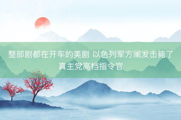 整部剧都在开车的美剧 以色列军方阐发击毙了真主党高档指令官