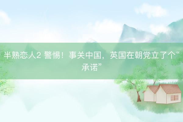 半熟恋人2 警惕！事关中国，英国在朝党立了个“承诺”
