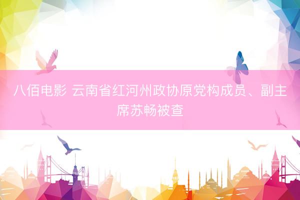 八佰电影 云南省红河州政协原党构成员、副主席苏畅被查