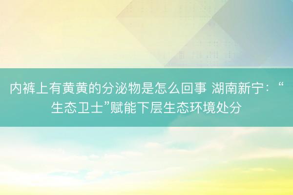 内裤上有黄黄的分泌物是怎么回事 湖南新宁：“生态卫士”赋能下层生态环境处分