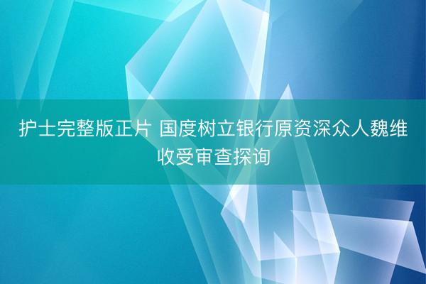护士完整版正片 国度树立银行原资深众人魏维收受审查探询