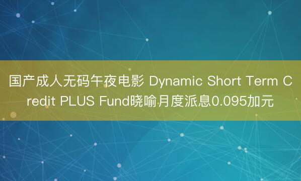 国产成人无码午夜电影 Dynamic Short Term Credit PLUS Fund晓喻月度派息0.095加元