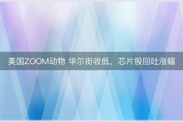 美国ZOOM动物 华尔街收低，芯片股回吐涨幅