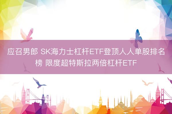 应召男郎 SK海力士杠杆ETF登顶人人单股排名榜 限度超特斯拉两倍杠杆ETF