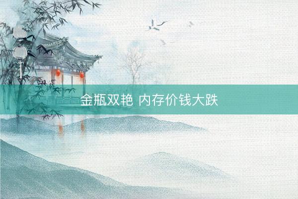 金瓶双艳 内存价钱大跌