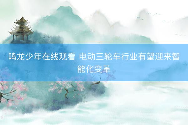鸣龙少年在线观看 电动三轮车行业有望迎来智能化变革