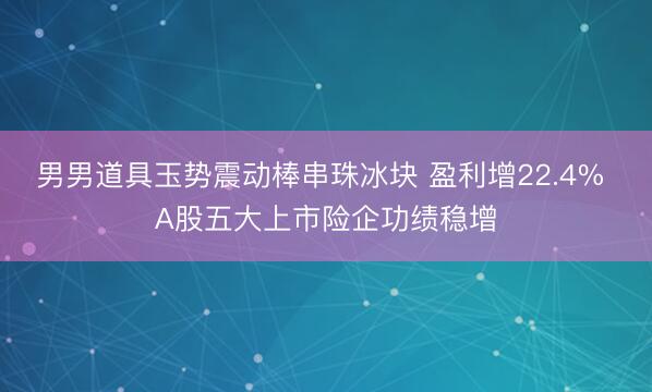 男男道具玉势震动棒串珠冰块 盈利增22.4% A股五大上市险企功绩稳增