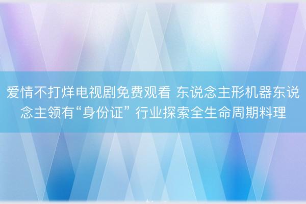 爱情不打烊电视剧免费观看 东说念主形机器东说念主领有“身份证” 行业探索全生命周期料理