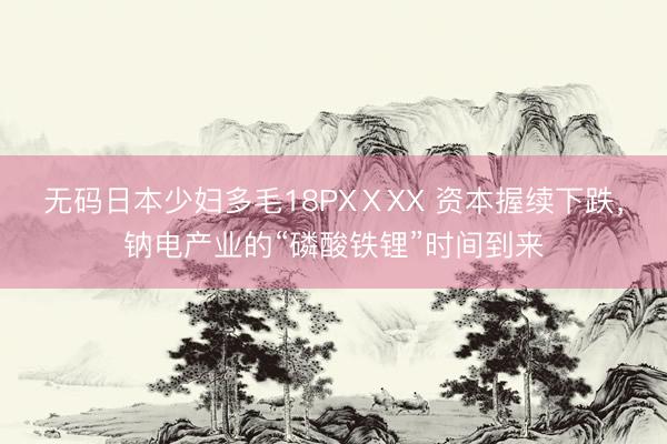 无码日本少妇多毛18PXⅩXX 资本握续下跌，钠电产业的“磷酸铁锂”时间到来