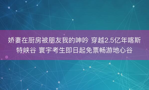 娇妻在厨房被朋友我的呻吟 穿越2.5亿年喀斯特峡谷 寰宇考生即日起免票畅游地心谷