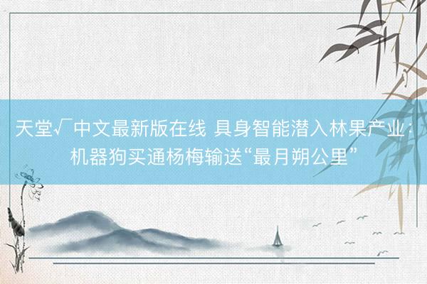 天堂√中文最新版在线 具身智能潜入林果产业：机器狗买通杨梅输送“最月朔公里”