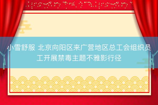 小雪舒服 北京向阳区来广营地区总工会组织员工开展禁毒主题不雅影行径