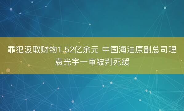 罪犯汲取财物1.52亿余元 中国海油原副总司理袁光宇一审被判死缓